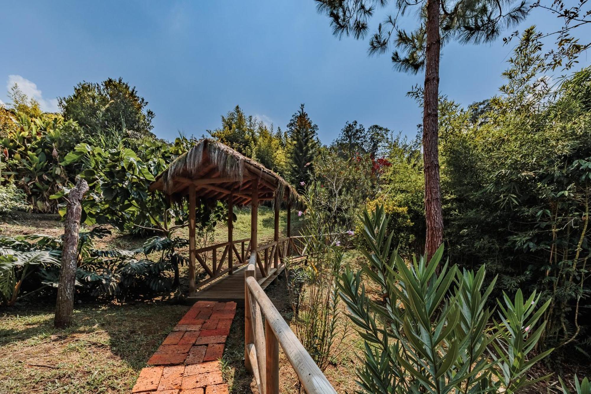 Hotel Pietrasanta Guatapé Dış mekan fotoğraf